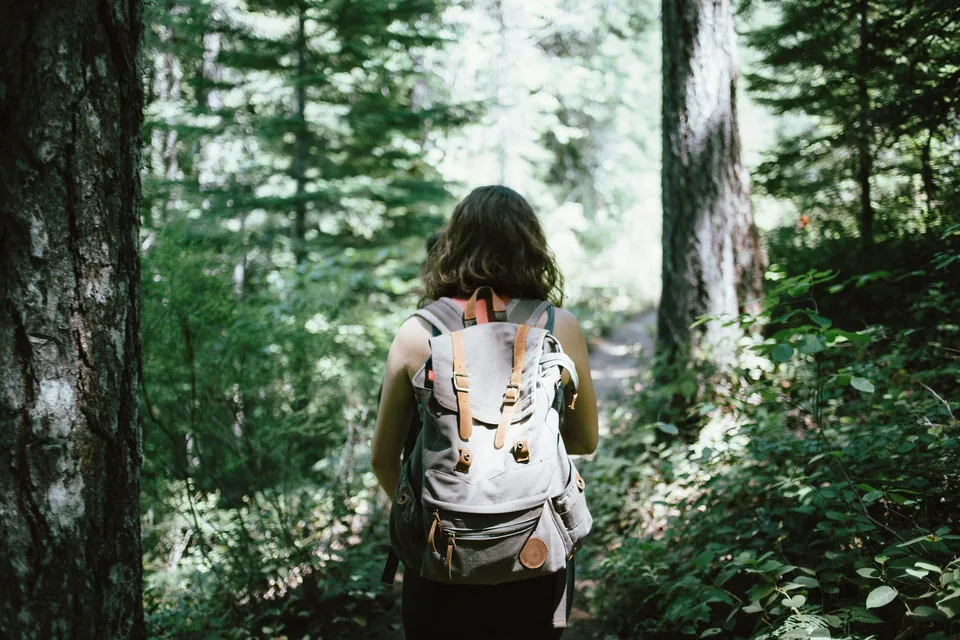 Walker in a forest