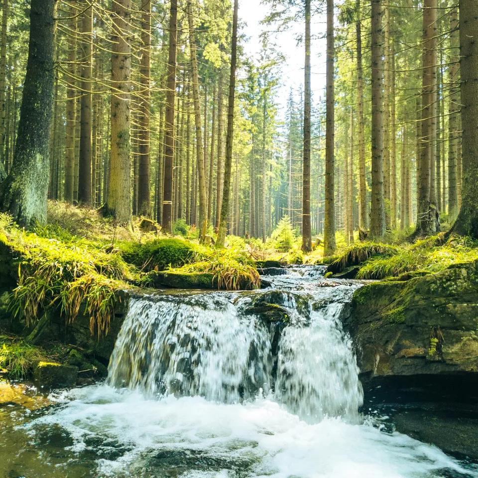 Small waterfall in the forest